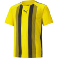Puma Teamliga Striped Jersey Jr T-Shirt Unisex Kids