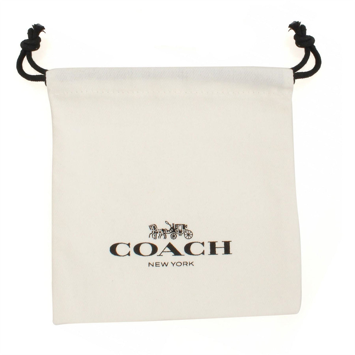 Coach Chain Necklace