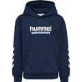 Hummel Logo Hoodie Junior