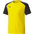 Puma Teampacer Jersey Jr T-Shirt Unisex Kids