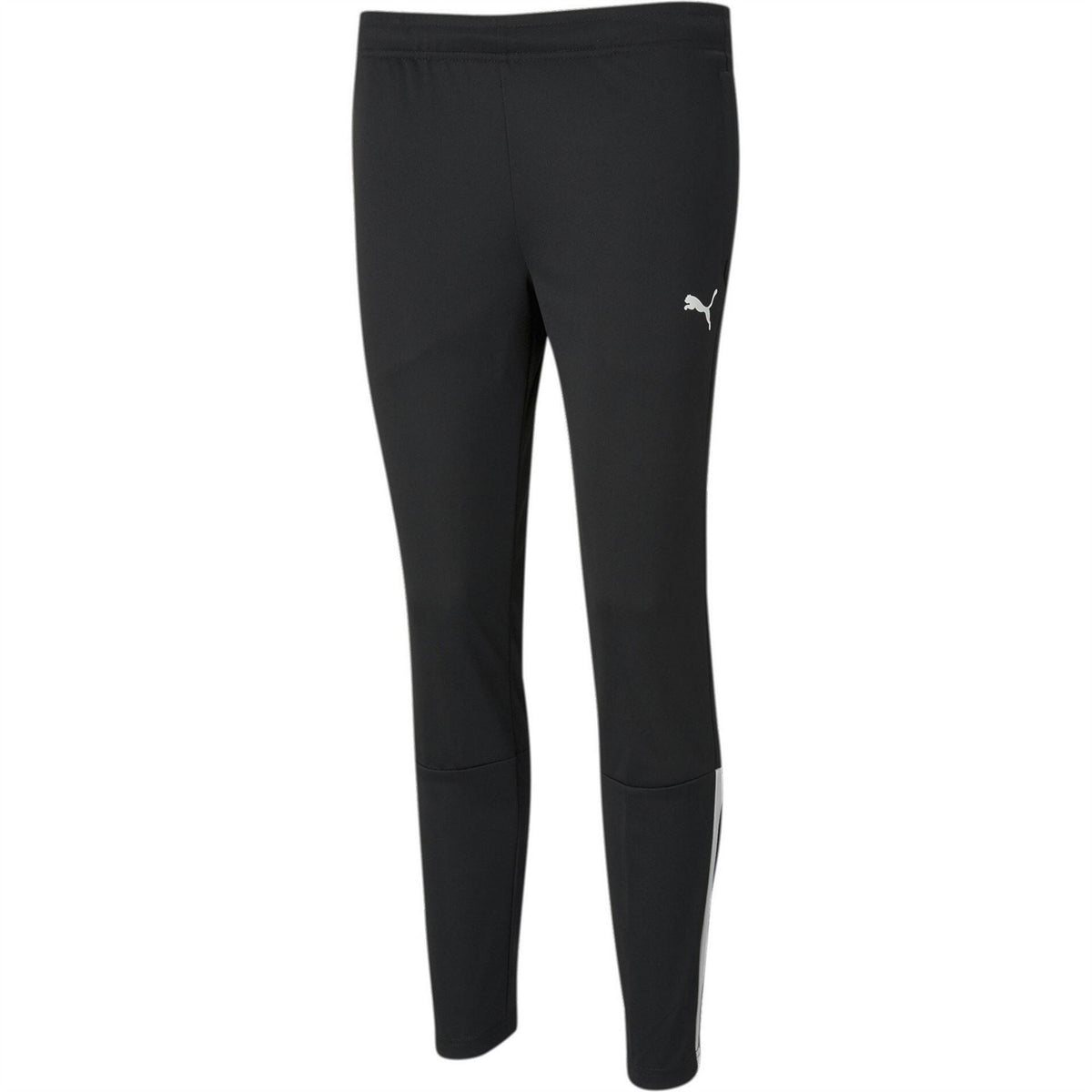 Puma Teamliga Training Pants
