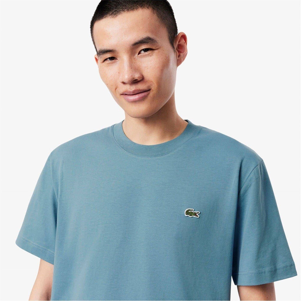 Lacoste Regular Fit Small Logo T-Shirt