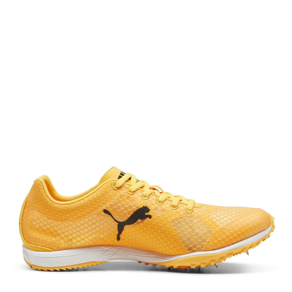 Puma Evospeed Haraka 8 Track Running Spikes