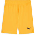 Puma Mens Teamgoal Shorts Football Shorts