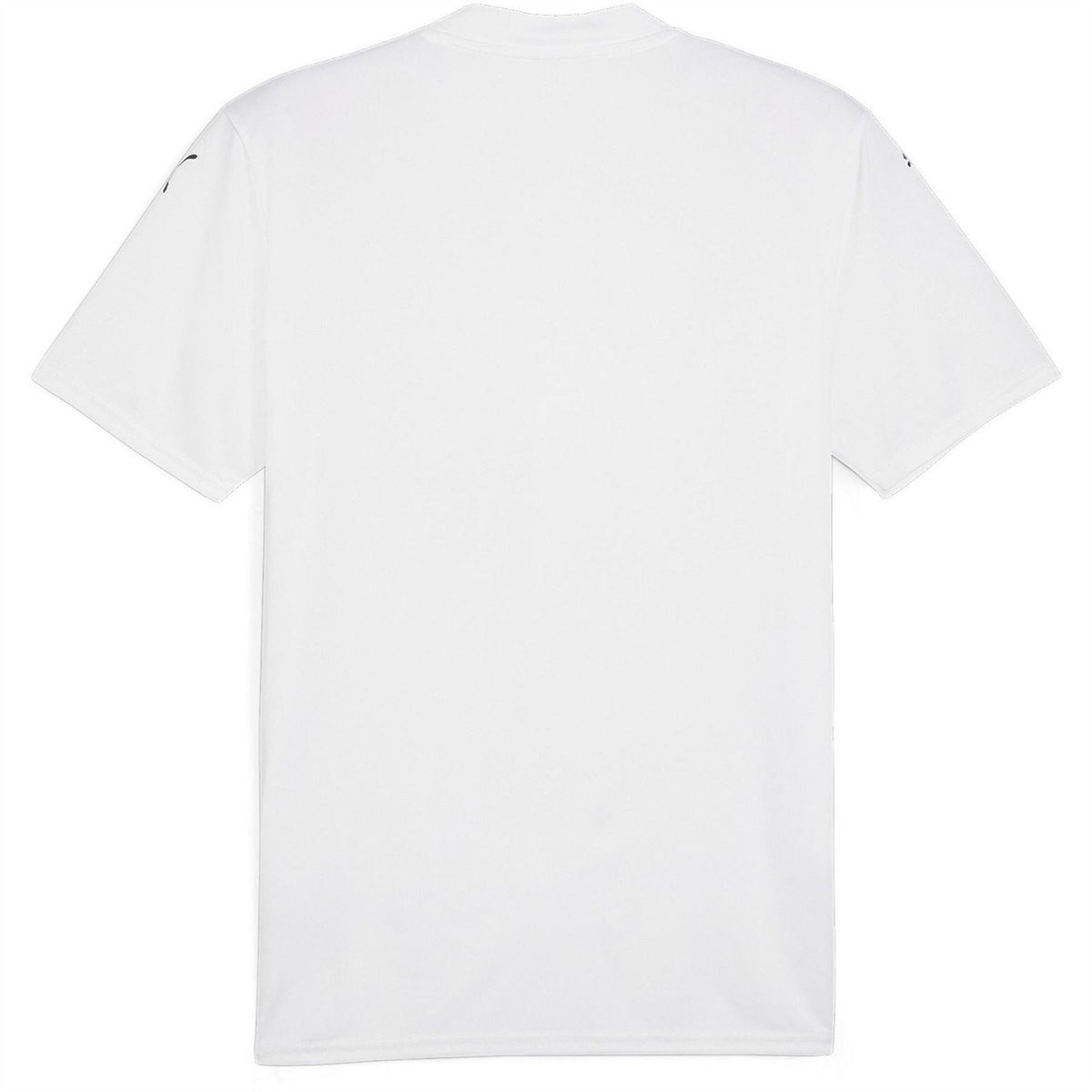 Puma Mens Teamglory Jersey T-Shirt