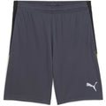 Puma Mens Individualliga Training Shorts 2 (op Football Shorts