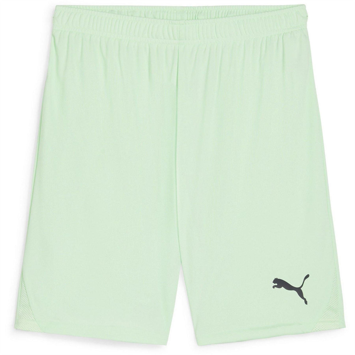 Puma Mens Teamgoal Shorts Football Shorts