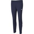 Puma Teamliga Training Pants