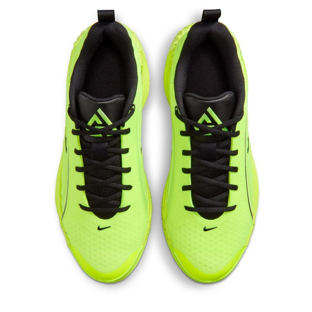 Nike Basketball Trainers