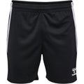 Hummel Training Shorts Senior